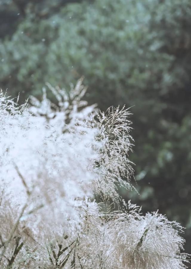 听说东营竟然“下雪”了？？？