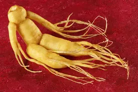 中医里的七种参，各有什么作用？图片