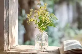 如果你觉得，活着没意义，搞清楚这4点，会渡人渡己图片