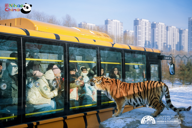 欧洲网红博主中国行哈尔滨站：站站皆用心，用文旅讲述冰城故事