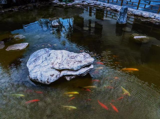 山西长治澳涞山庄“十景”评选结果揭晓 打造太行山脉文旅新名片