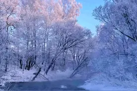 就离谱！哈尔滨连马路边的树都火了，网友说美哭了，像仙境图片