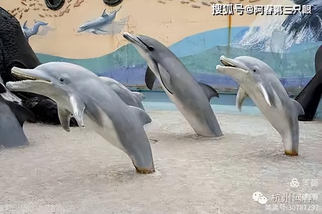 大连 之海洋世界