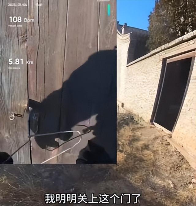 猛蛇过江：汾河二库又发现“人民碎片”，为何这次“来早了”？