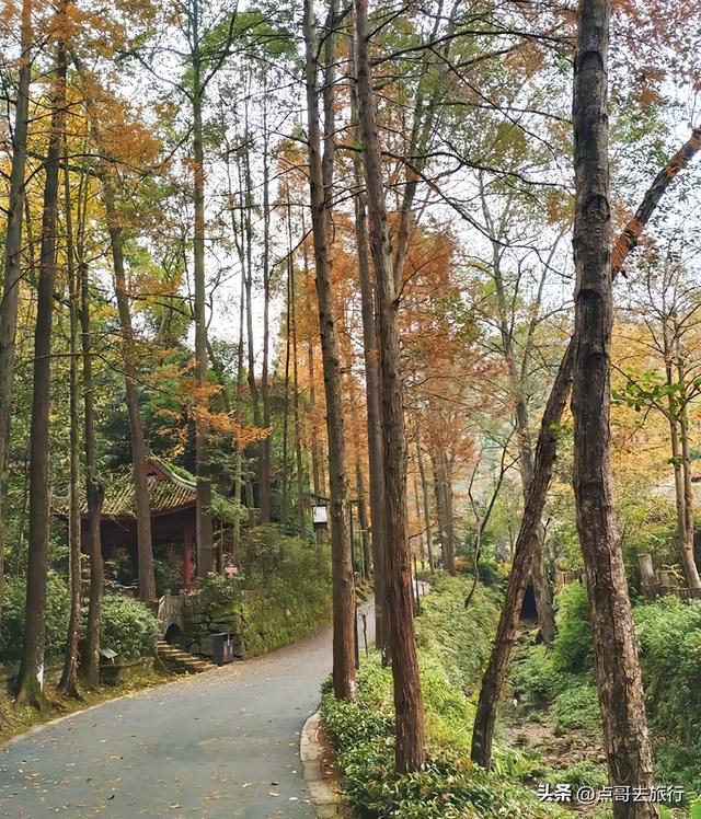 彭州人私藏的精品徒步路线，没有拥挤的人潮，可以吃斋饭！