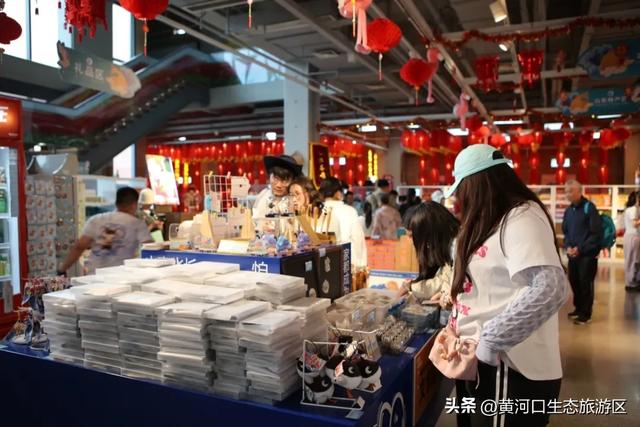 【黄河口生态旅游区】观鸟季 追光向海,赴一场黄河口的飞鸟之约!