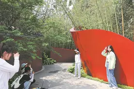 川籍游客“家门口”逛成都世园会：意犹未尽 不虚此行图片