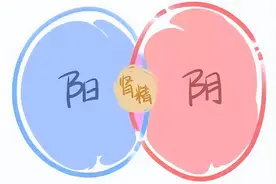 补肾的最高境界是引火归元！送你一味药，把火气变元气 归纳进肾里图片