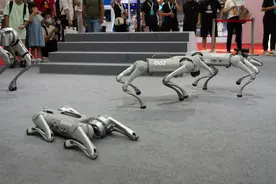 解放军海外“遛狗”，引起全球瞩目，美国反应显异常图片