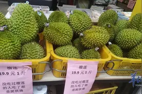 榴莲在家也能种？网上卖的榴莲苗真能结果吗？记者调查图片