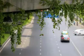 打造成渝“后花园” 乐山参与共建巴蜀文旅走廊 | 关注省政府新闻发布会图片