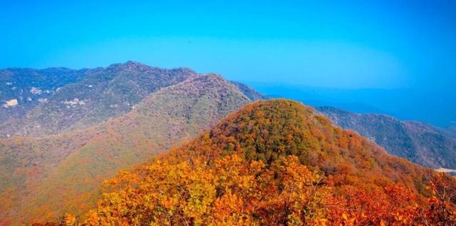 云丘山的秋天，是懂氛围感的！​​