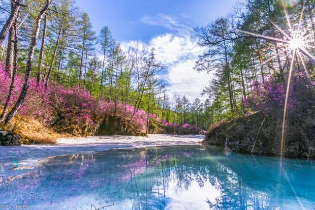 还没结束的花事，槽点太多了！