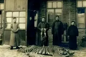 民国奇人贺业武：一生猎杀305只老虎，至死都不肯透露秘药配方！图片