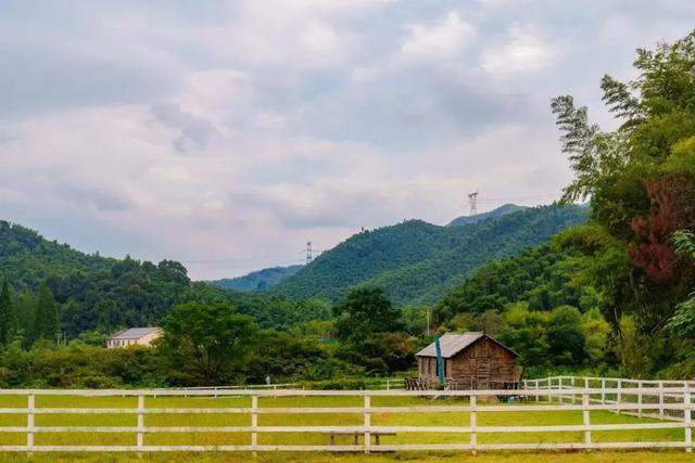 余杭这个村,上榜“杭州十大避暑胜地”!