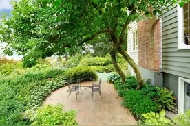 家有院子，门前一定要种棵树，适合种门前的4种树，选一棵种上吧图片