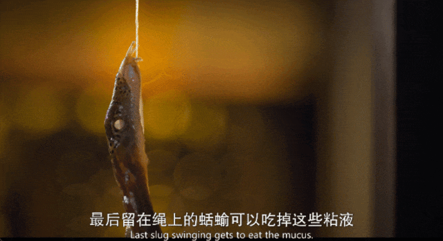 内娱男星讲荤段子，居然拿下豆瓣8.9