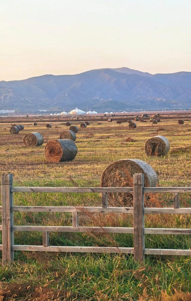 进度已达90%！呼和浩特进入全盛期！最近每天都不一样，呼市人抓紧出门
