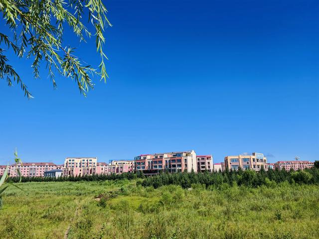坐15路公交从伊春去友好区