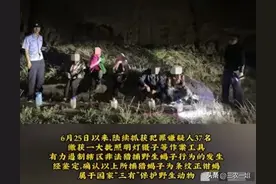 甘肃37名村民野外抓蝎子被抓，共缴获2.1万只，最多能判几年？图片