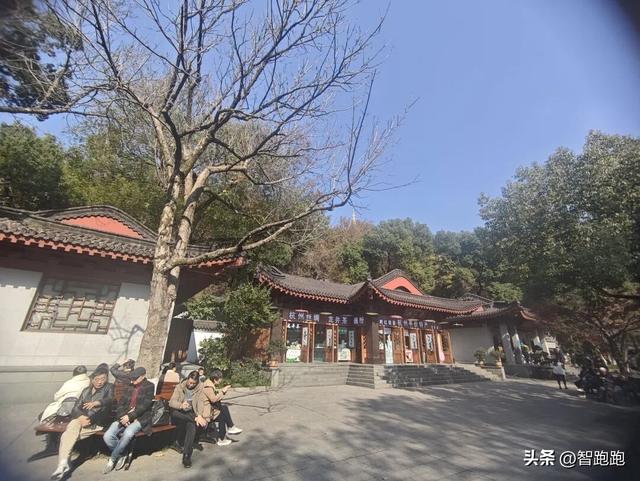 2025 杭州西湖 City Walk 留下足迹