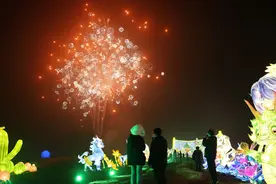 多彩非遗，点亮蛇年新春图片