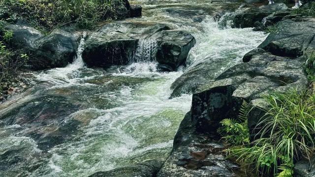 乡游黔中 · 都匀市 奉合村丨水书秘卷映端节，拦门酒香醉古寨
