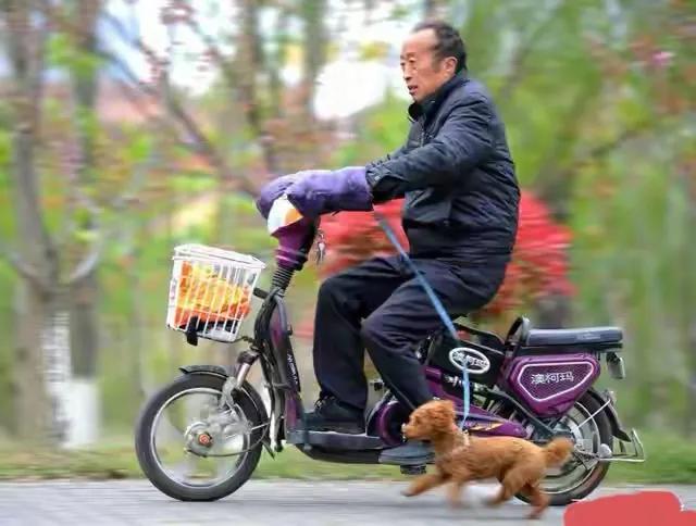 交警提醒：60岁以上无驾照，这3类代步车放心开，上路无忧！