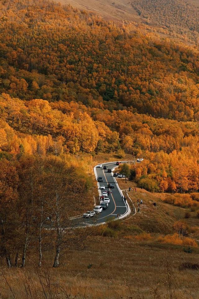 赤峰，又上央媒了……