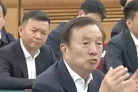 任正非、王传福在民营企业家座谈会上的发言摘要图片
