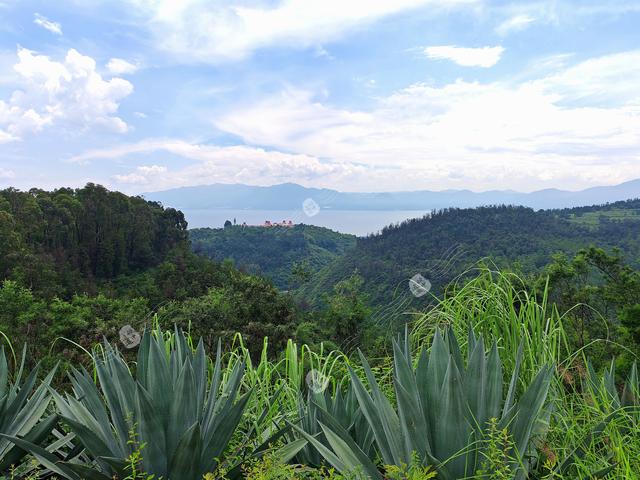 打卡云南高原明珠——美丽的抚仙湖