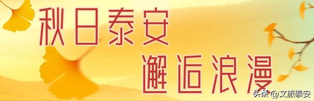 “躺平”新地标~泰安这个神仙广场也太chill了吧！！