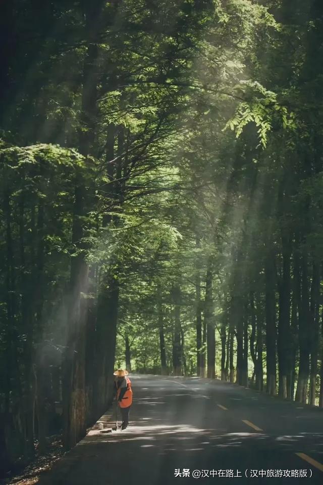 全国十佳!汉中这条公路太火了!