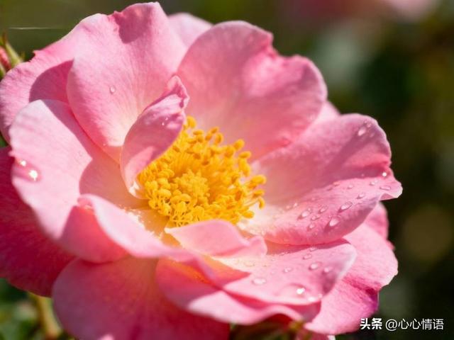 两性关系：60多岁的阿姨们坦言，女人找老伴，最大的需求是这一点