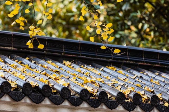 接下来，长沙的天花板级秋景在这里！一年中的颜值巅峰期，美哭！