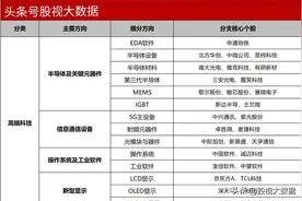 什么是专精特新？专精特新“小巨人”行业龙头企业有哪些？图片