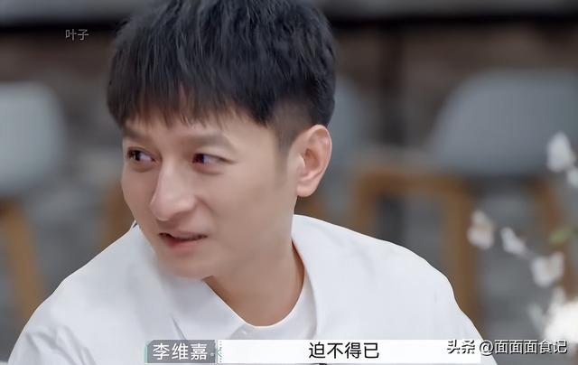 从主持人到“精神病”，无儿无女消失2年的李维嘉，现状令人唏嘘