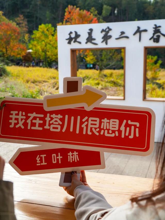 红叶如火，塔川正浓 | 皖美冬日 | 第十五届安徽国际文化旅游节