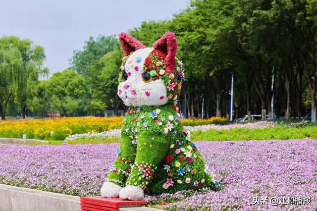 这个公园,再登央视