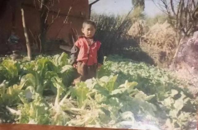 父亲烧死母亲被执行死刑，儿子拒领骨灰，告慰母亲：我给你报仇了！