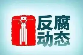 黄新河、王德刚、丁海、周和平被查，王文被“双开”，苟仲文被决定逮捕图片