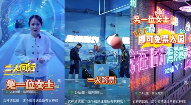 临沂“3.8”女神节必看｜免票+特惠+活动一键解锁