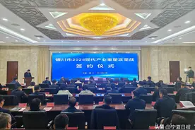 稳增长促发展攻坚年 | 灵武重塑现代产业签约重点项目揽金31.63亿元图片