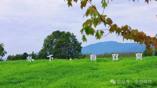太凉快啦!绵竹新增一处露营戏水打卡地......
