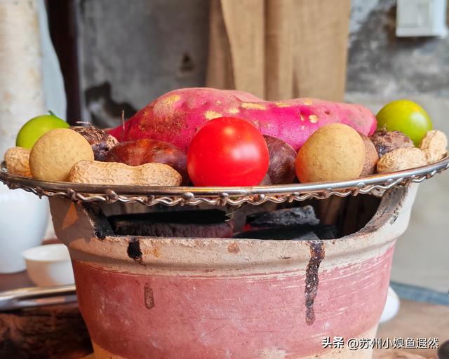 苏城跌破零度冻成狗！我们却在震泽桃花岛，寻到2026最暖打开方式