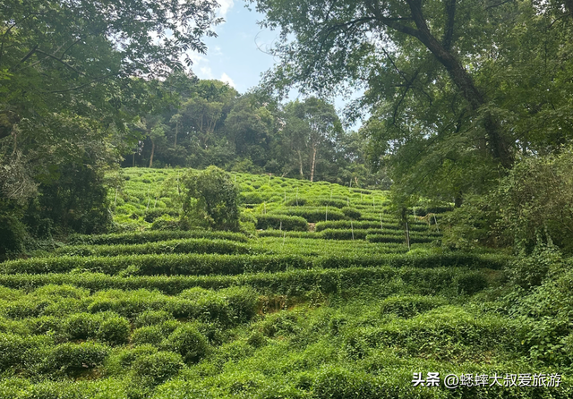 来一场杭州“秋日征程”吧，贯穿西湖群峰18公里，一路立体长画！