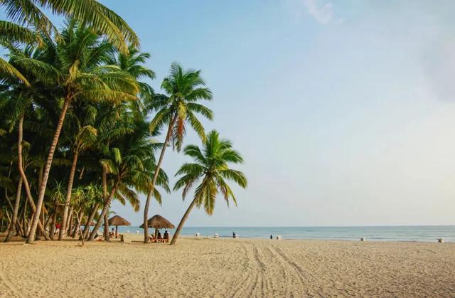 银发族暖冬天堂！海南避寒养生全攻略，让你玩得比年轻人还溜