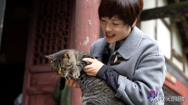 大足石刻南山景区4只萌猫成“团宠” 憨态可掬等您赐名