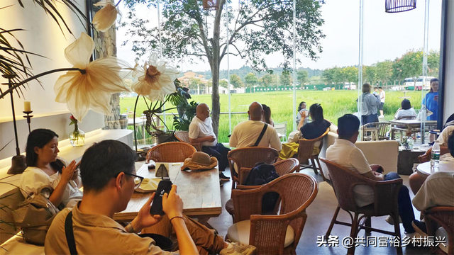 农场如何打造“美学场景”提升游客情感消费？总结6种低成本玩法