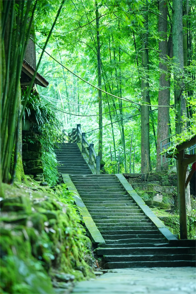 彭州这条“世界级”徒步线，走起！